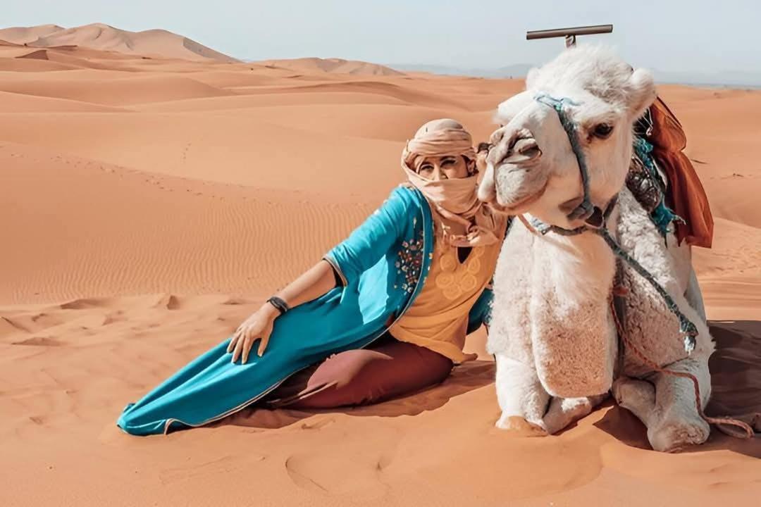 Desert Camel Trek Merzouga Exterior foto